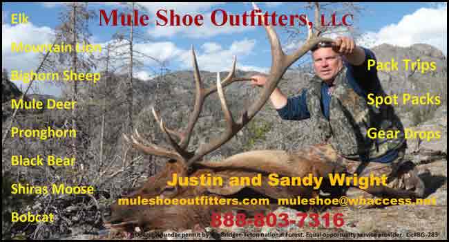 Mule Shoe Outfitters