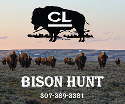 Bison hunt in Cora