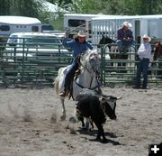 Cowgirl Roper. Photo by Pinedale Online.