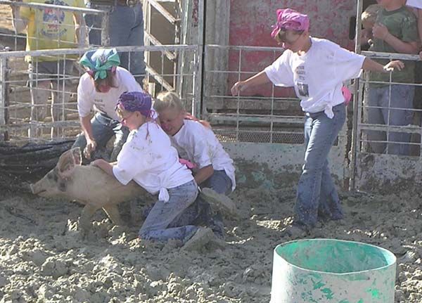 Bacon Bits. Photo by Dawn Ballou, Pinedale Online.