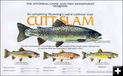 Wyoming Cutt-Slam. Photo by Wyoming Game & Fish.