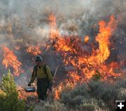 Burning out the brush. Photo by Clint Gilchrist, Pinedale Online.
