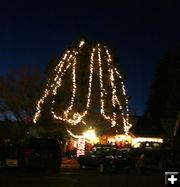 Official Pinedale Tree. Photo by Pam McCulloch, Pinedale Online.