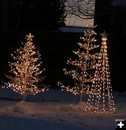 Lighted Trees. Photo by Pam McCulloch, Pinedale Online.