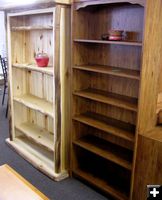 Book Cases. Photo by Dawn Ballou, Pinedale Online.