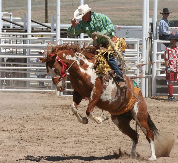 Saddle Bronc Ride. Photo by Clint Gilchrist, Pinedale Online.