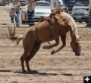 Empty Saddle. Photo by Dawn Ballou, Pinedale Online.