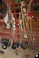 Bull Ropes and Masks. Photo by Carie Whitman.