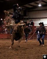 Bull Ride 6. Photo by Carie Whitman.