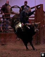 Bull Ride 9. Photo by Carie Whitman.