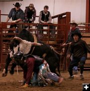 Bull Ride 17. Photo by Carie Whitman.