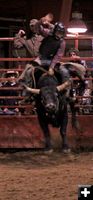 Bull Ride 31. Photo by Carie Whitman.