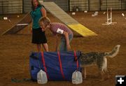 Agility Tunnel. Photo by Dawn Ballou, Pinedale Online.