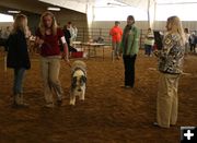 Jenny Beiermann - Dog Show. Photo by Dawn Ballou, Pinedale Online.