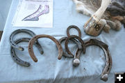 Horseshoes and Hoof. Photo by Dawn Ballou, Pinedale Online.