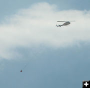 Chopper. Photo by Dawn Ballou, Pinedale Online.