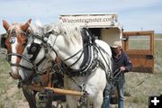 Wagons west. Photo by Mark Brenden, Sublette Examiner.