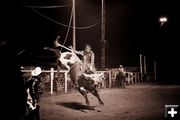 Bull riding. Photo by Tara Bolgiano, Blushing Crow Photography.