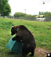 Kio box. Photo by Linda Weiford, WSU News.