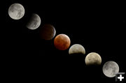Total Lunar Eclipse. Photo by Arnold Brokling.