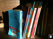 Books. Photo by Dawn Ballou, Pinedale Online.