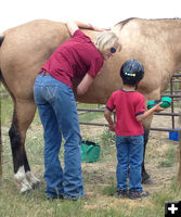 Grooming. Photo by MESA Therapeutic Horsemanship.