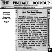 First Moose seen in Pinedale-1916. Photo by Pinedale Roundup, 1916.