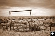 Old Ranch Entrance on Paradise Road. Photo by Terry Allen.