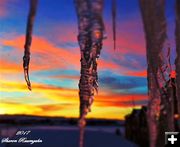 Icicle Sky Colors. Photo by Sharon Rauenzahn.