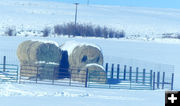 Hay stack yard. Photo by Dawn Ballou, Pinedale Online.