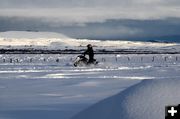 Lone Rider. Photo by Terry Allen.