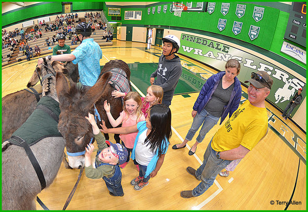 Half-Time Means Donkey Petting Time. Photo by Terry Allen.