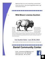 Bison Hunt Auction. Photo by Daniel Community Center.