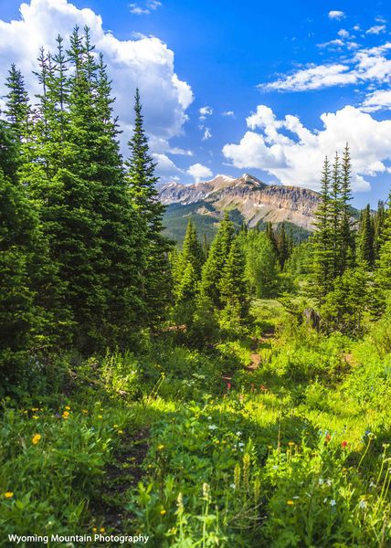 Emerald Green. Photo by Dave Bell.