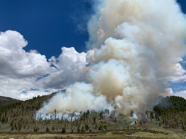 Controlled Burn. Photo by Robyn Blackburn, White Pine Ski Resort.