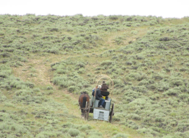 Up the hill. Photo by Dawn Ballou, Pinedale Online.