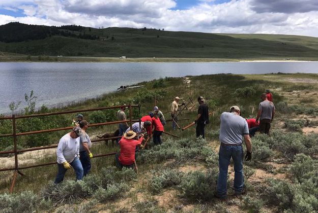 Installing fence. Photo by Wyoming Game & Fish.