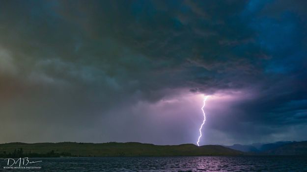 Bolt. Photo by Dave Bell, Pinedale Online.