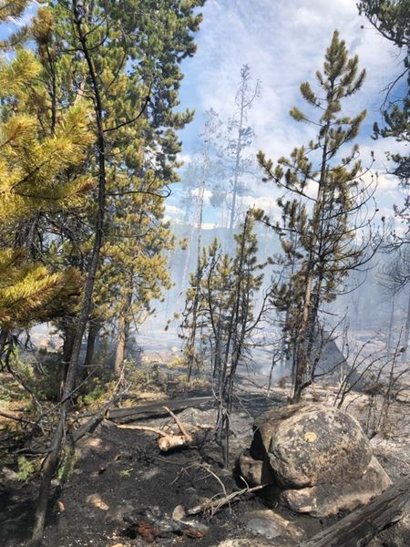 New Fork Fire. Photo by Bridger-Teton National Forest.