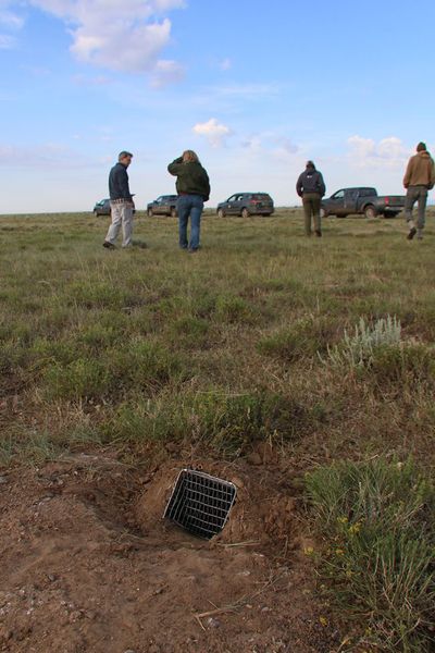 Owl Trap. Photo by Wyoming Game & Fish.