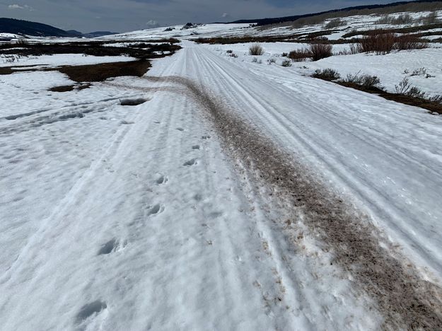 Pronghorn trail. Photo by Rob Tolley.