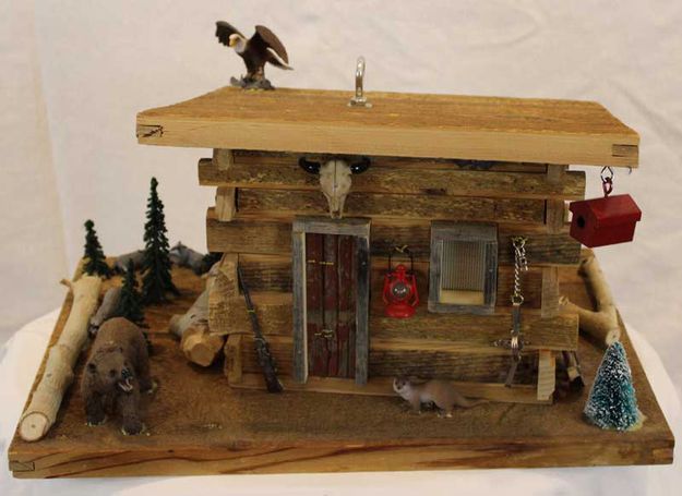 Custom made Bird House. Photo by Pinedale Online.