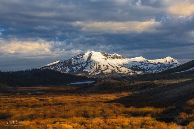 Mt McDougal and the Cottonwoods. Photo by Dave Bell.