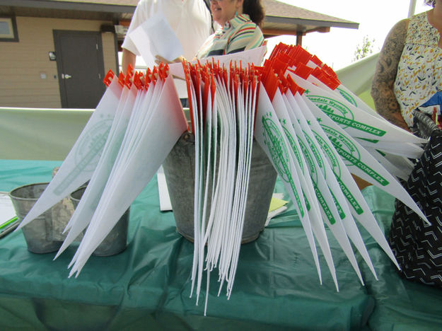 Pennants. Photo by Dawn Ballou, Pinedale Online.