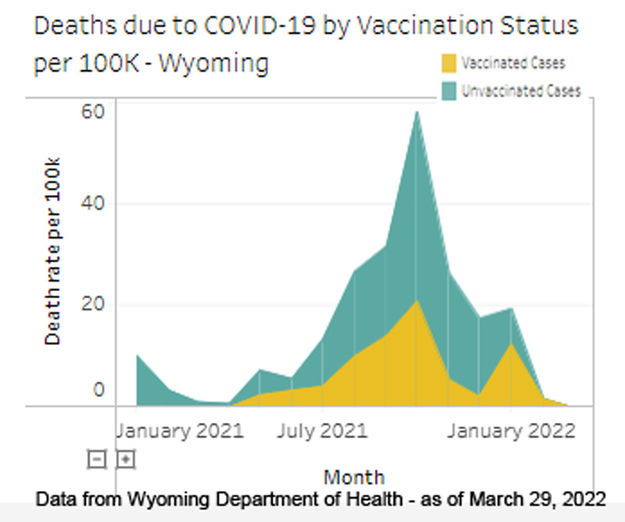 COVID-19 deaths. Photo by Wyoming Department of Health.