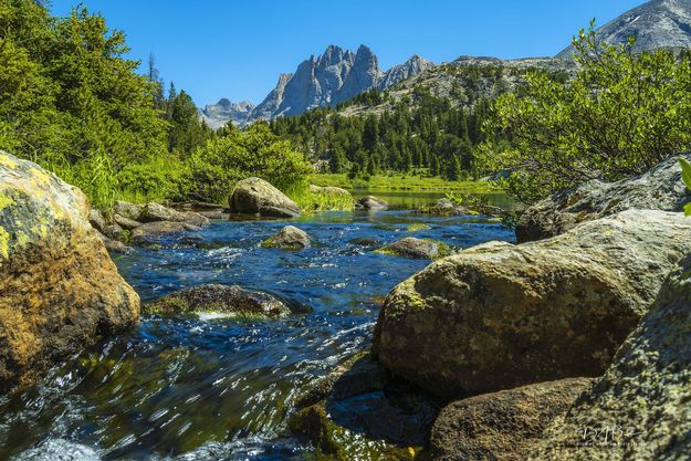 South Fork Boulder Creek. Photo by Dave Bell.