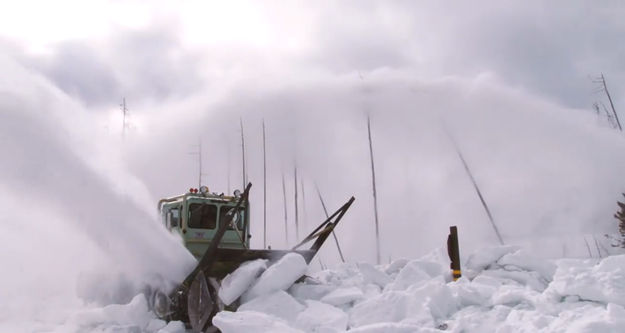 Throwing snow. Photo by Yellowstone National Park.