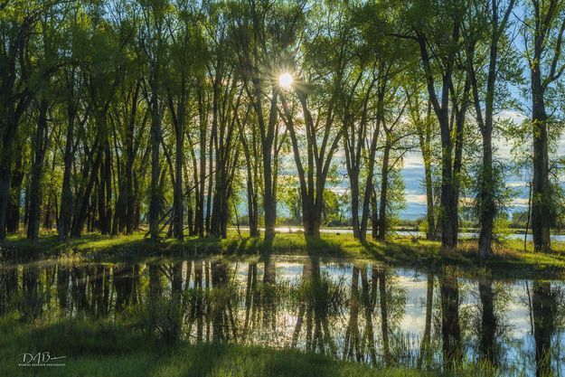 Reflections. Photo by Dave Bell.