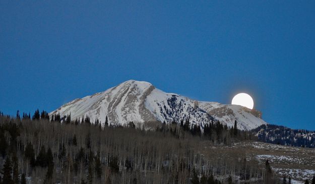 Moon Rise. Photo by Rob Tolley.