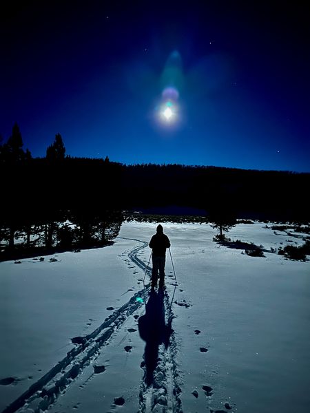Skiing by Moonlight. Photo by Rob Tolley.